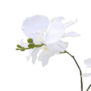 Wholesale outdoor wedding decoration orchid flower real touch orchid artificial flower for home