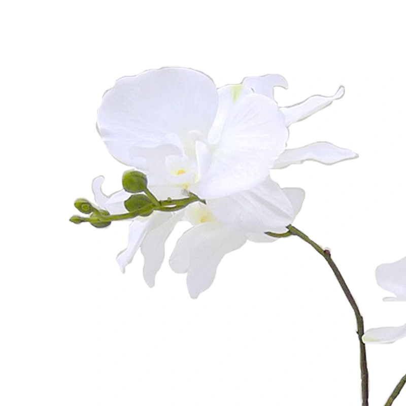 Wholesale outdoor wedding decoration orchid flower real touch orchid artificial flower for home