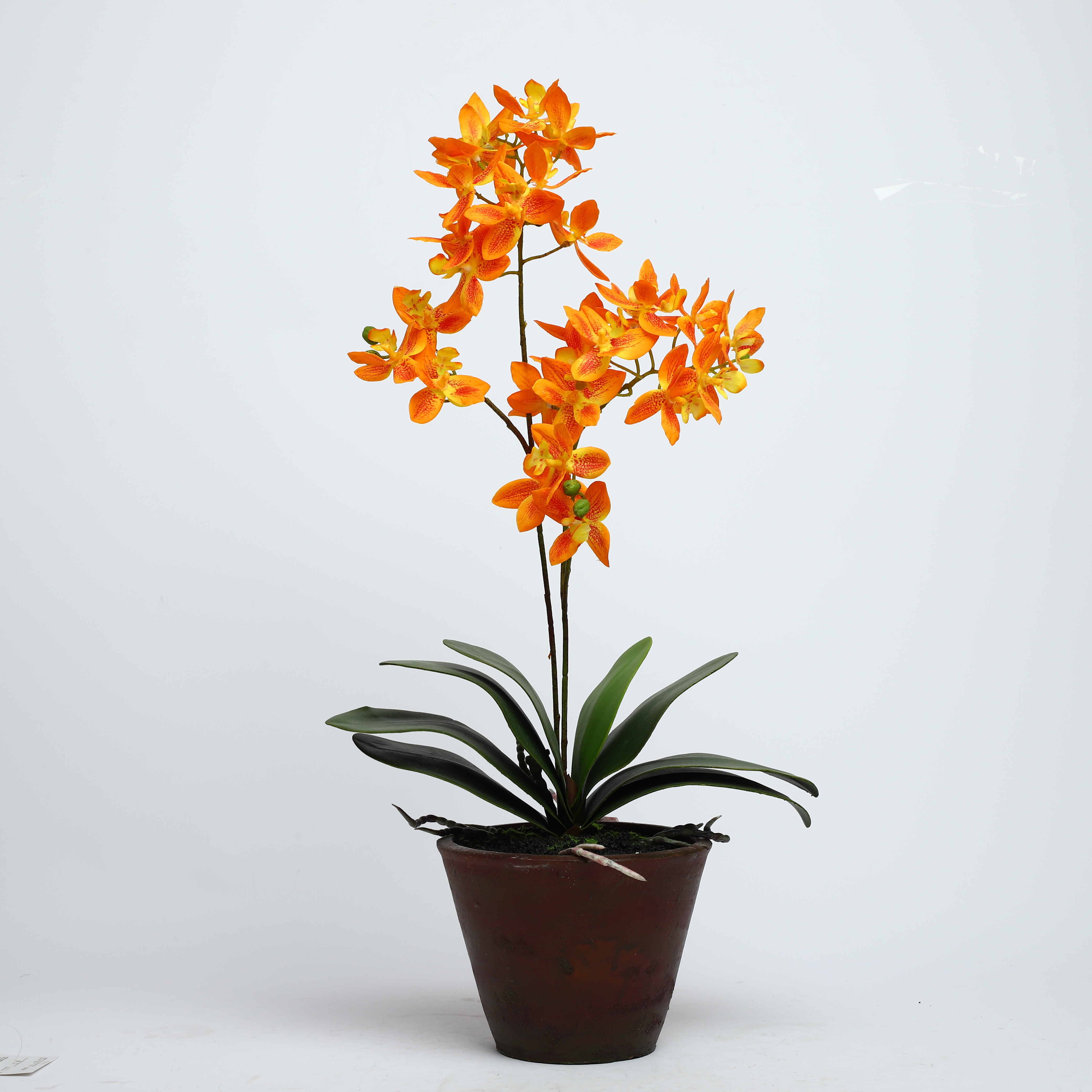 High Quality Real Touch Artificial faux water cymbidium Faux Water Butterfly Orchid For Home Decoration