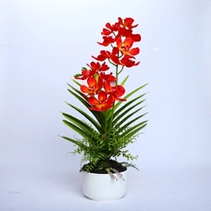 China Wedding Decor Orchid Assortment Artificial Flower Faux Water Orchid For Shop Supermarket Arrangement