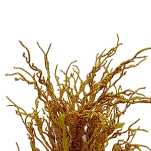 High Quality Affordable Artificial Autumn Spray 81cm In/Out Door Decorations Artificial Autumn Wreath