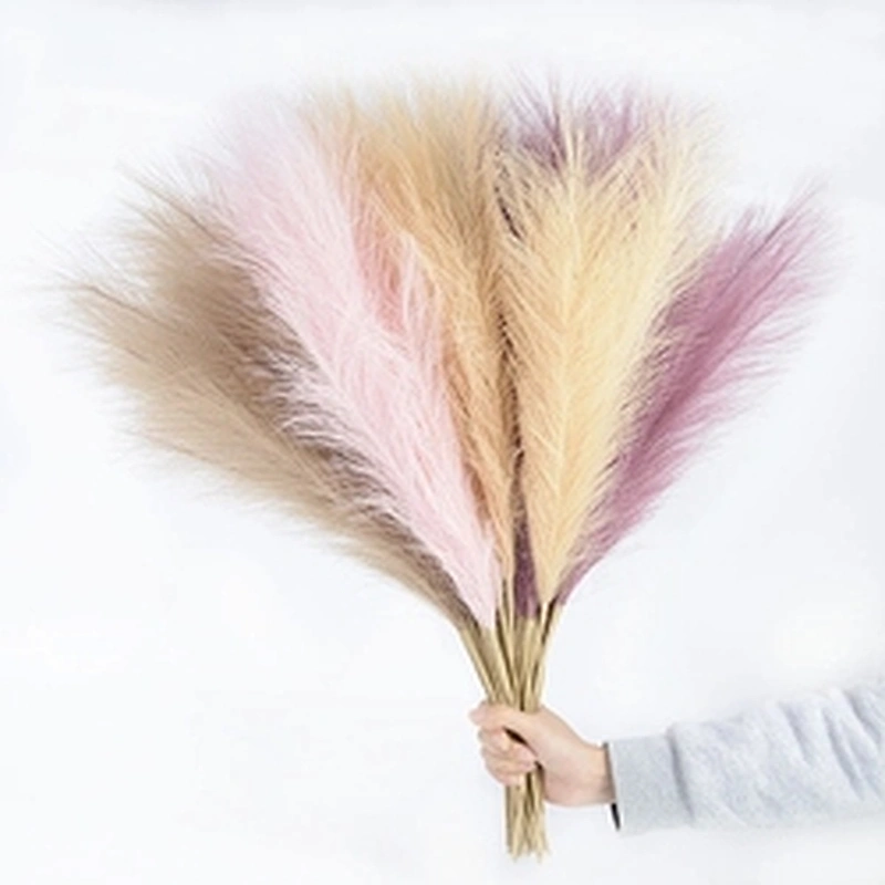 45cm Reed 10Pcs Dried Flower Natural Pampas Grass Black Christmas Decoration Phragmites Wedding Home Decor