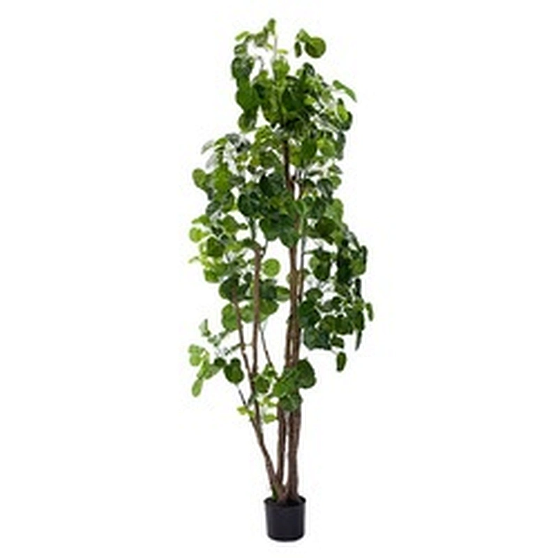 China Top Quality artificial tree fu lu tong bonsai potted plant on sale