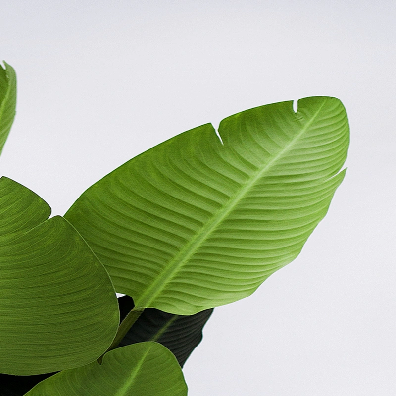 High Quality Customer Deliciosa Artificial Banana Leaf Tree  Decor Banana Tree Shredder