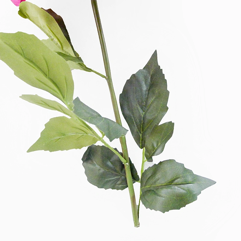 Popular Artificial Autumn dahlia 109cm Champagne hydrangea Flowers Leaves Artificial Green Flowers