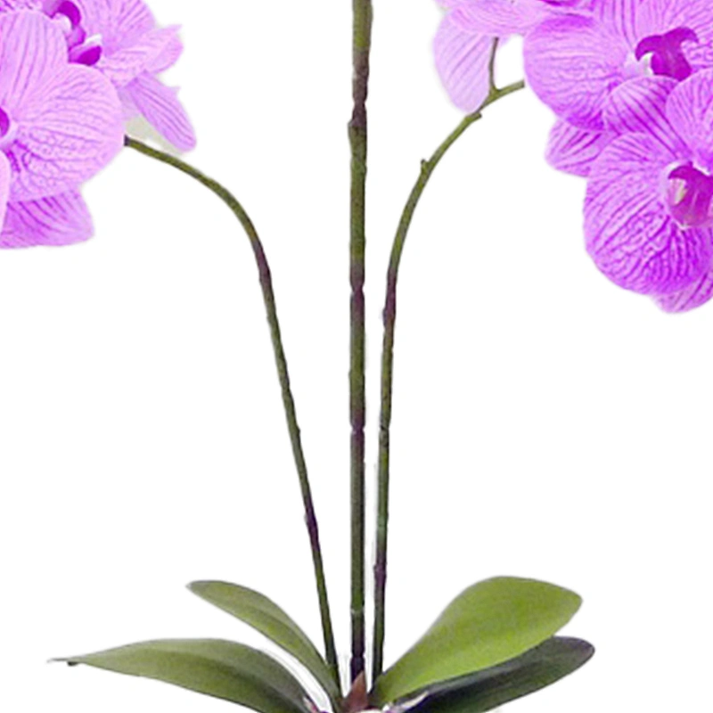 High Quality Real touch Artificial Orchid Plants Orchid Flowers Orchid for Indoor Decoration