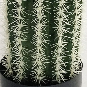 Hot Sale High Performance Good Quality Outdoor Decoration Plant Artificial Evergreen Trees