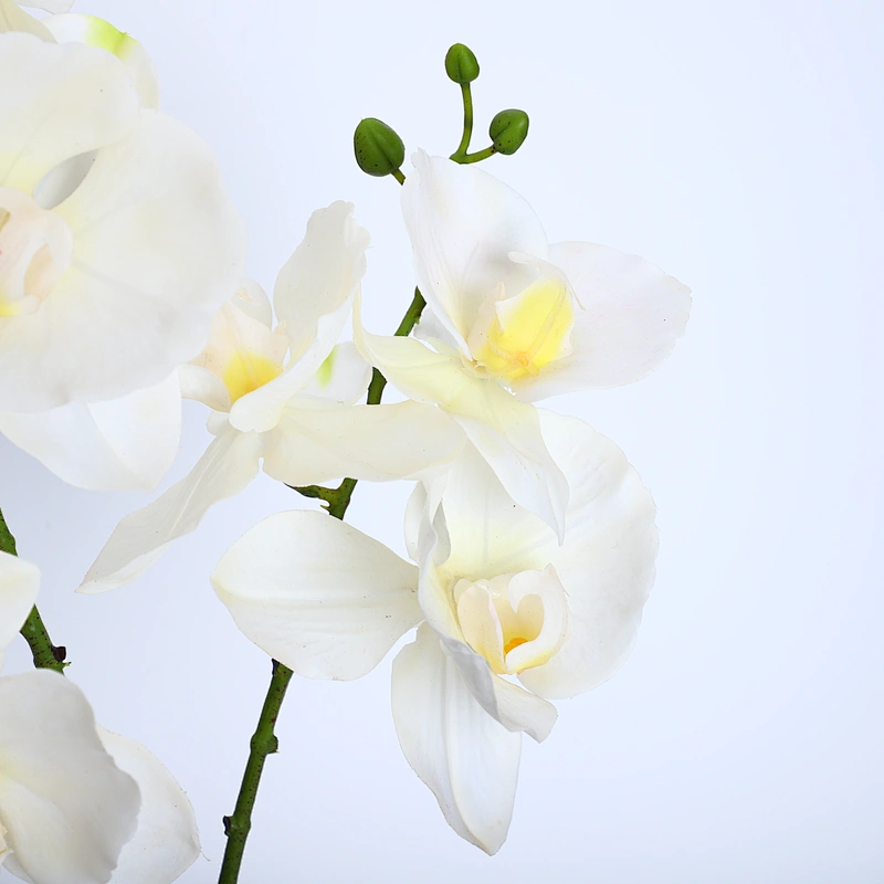 Home Wedding Decor White Artificial Flowers Cymbidium Orchid Faux Water Butterfly Orchid