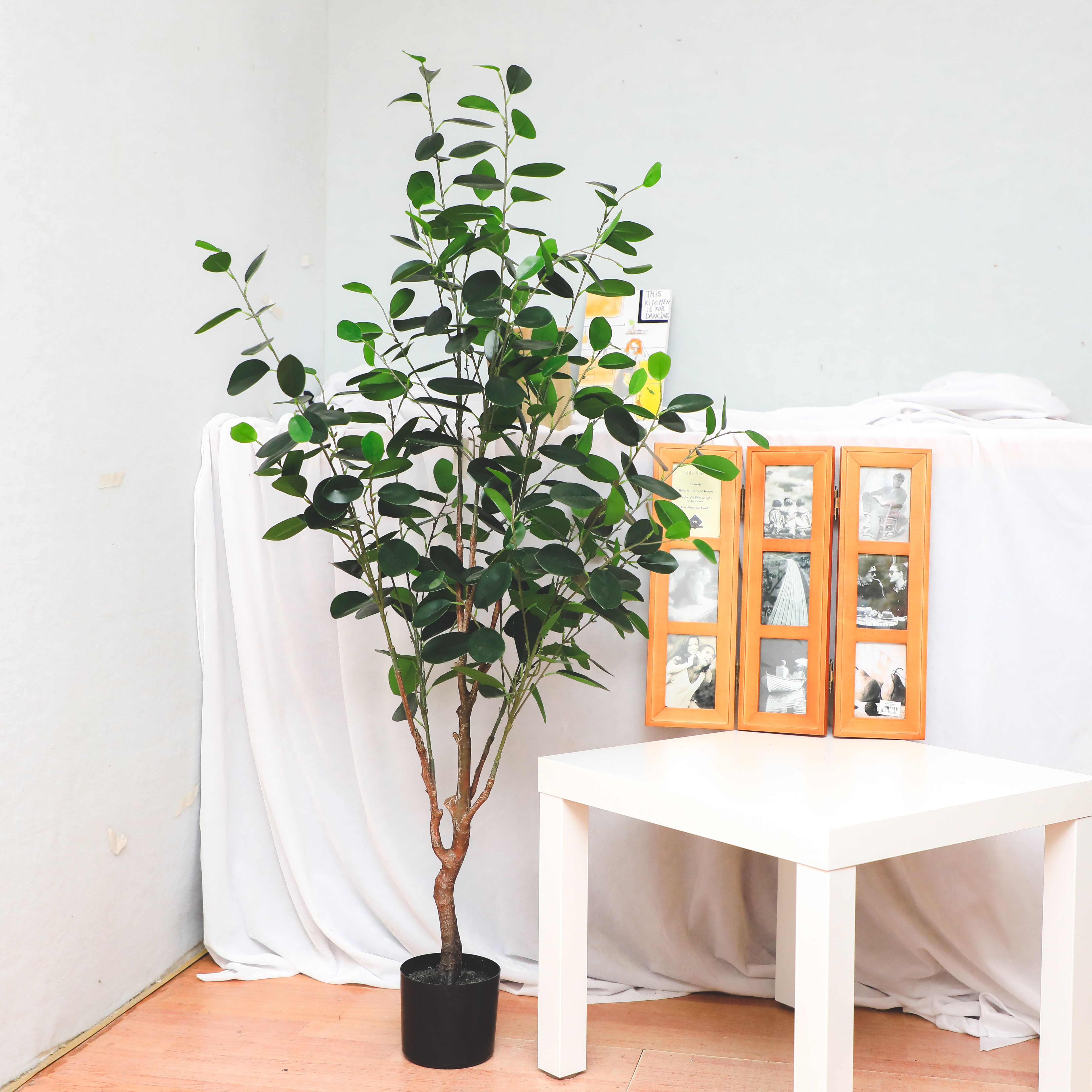 New Style Bonsai Plants China Top Quality Mini Small Medium Decorative Ornamental Bonsai Plants Of  Ficus Microcarpa