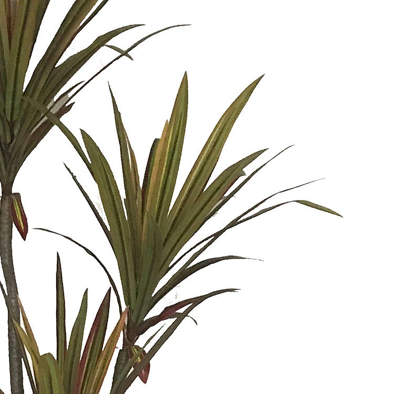 Garden Artificial dracaena plant home artificial bonsai tree artificial trees and dracaena tree plants