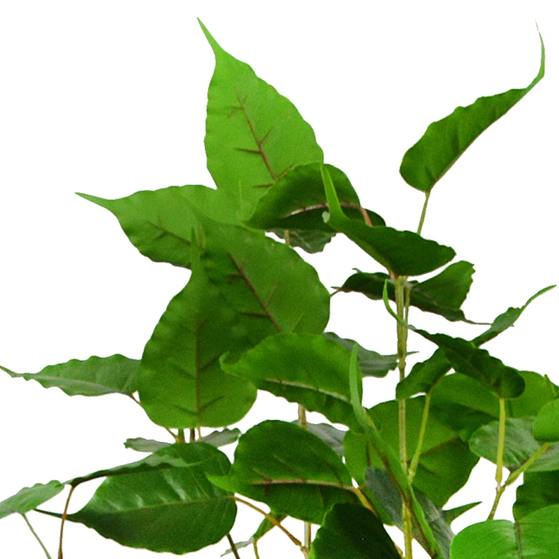 Wholesale High-quality Artificial Decorative Foliage Evergreen Plants Plastic Real Touch Trees For Sale