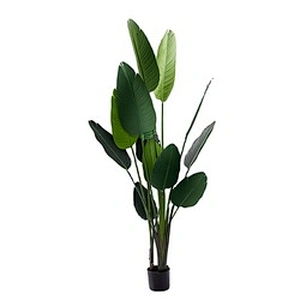 Best Selling Decorative Plant Banana Tree Indoor Artificial Greenery Traveller Banana Tree