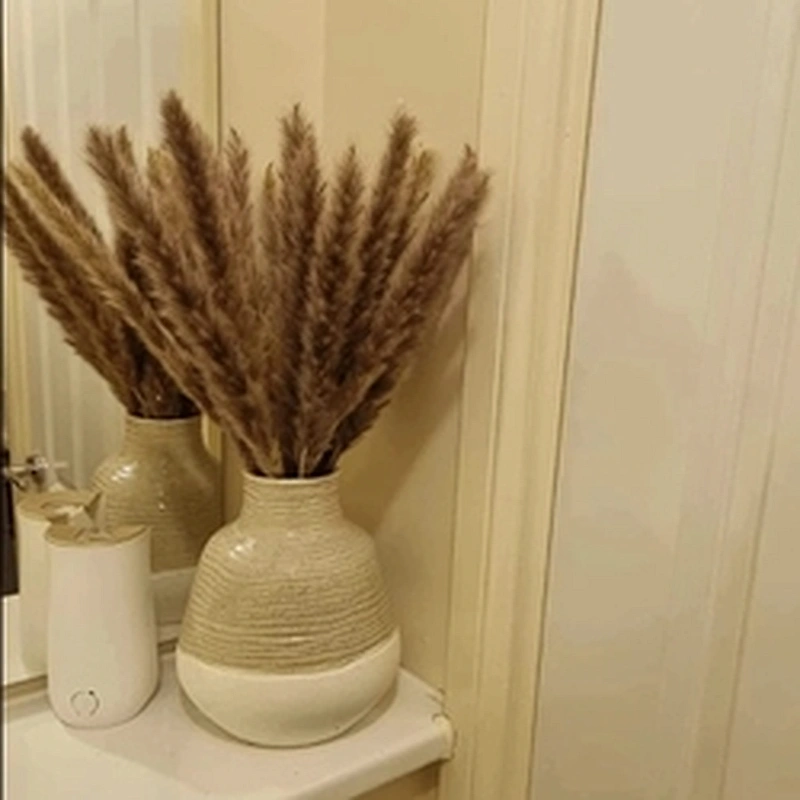 Dried Reeds Natural Dried Plants Bunch Small Pampas Grass DIY Craft Wedding Bouquet Photography Props Home Decoration Supplies