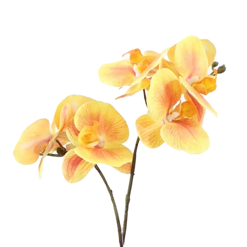 Office Wedding Decoration Artificial Orchid Flower Real Touch Latex Artificial Orchid Flower For Home