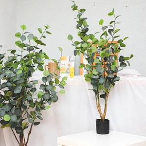 New Style Bonsai Plants China Top Quality Mini Small Medium Decorative Ornamental Bonsai Plants Of  Ficus Microcarpa
