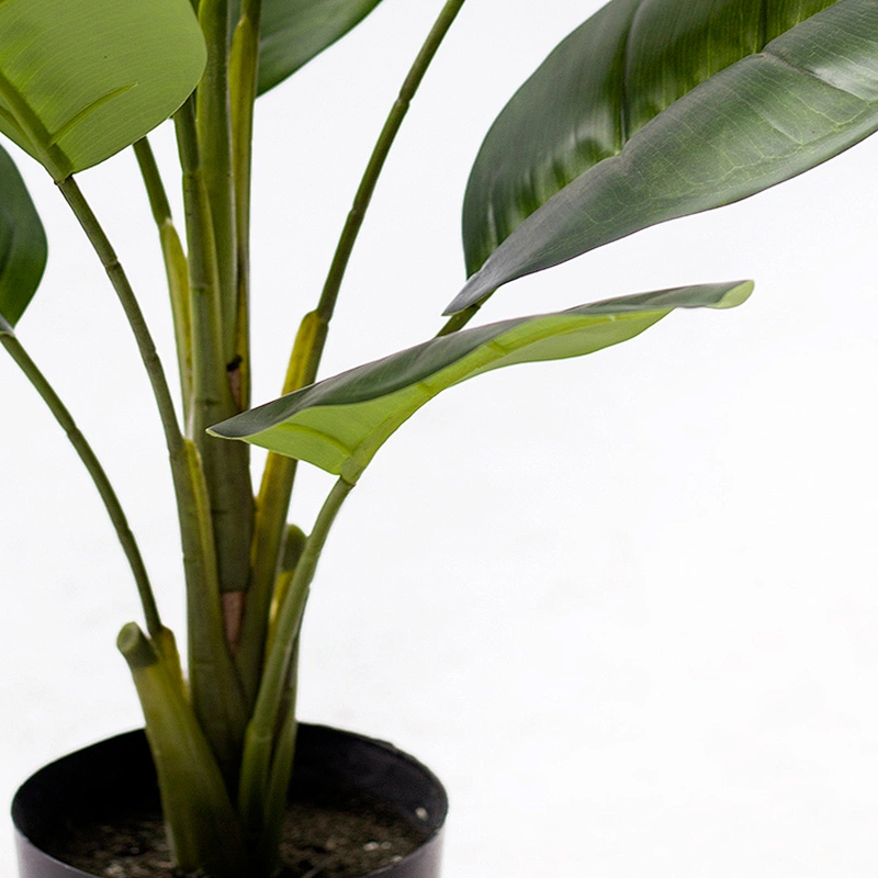 Most Popular Greenery Plant Artificial Scindapsus Aureus Dried Garden Scindapsus Aureus For Living Room Decoration