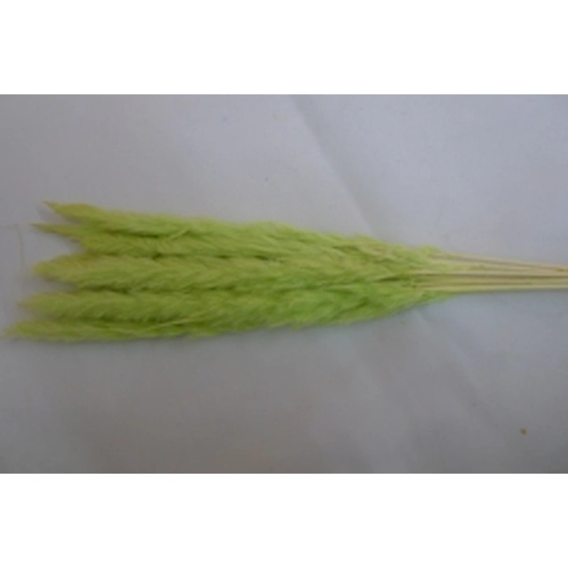 wholesale colourful real touch artificial flower large faux pampas grass wedding flower decoration