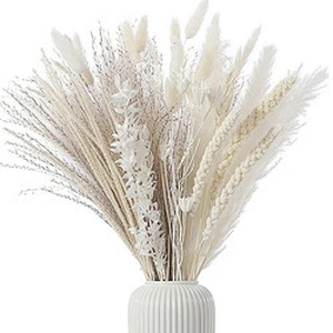 30pcs Dried Flowers Nature Bouquet Pampas Grass Flowers Wedding Decoration Artificielles Home Decor Artificial Flowers