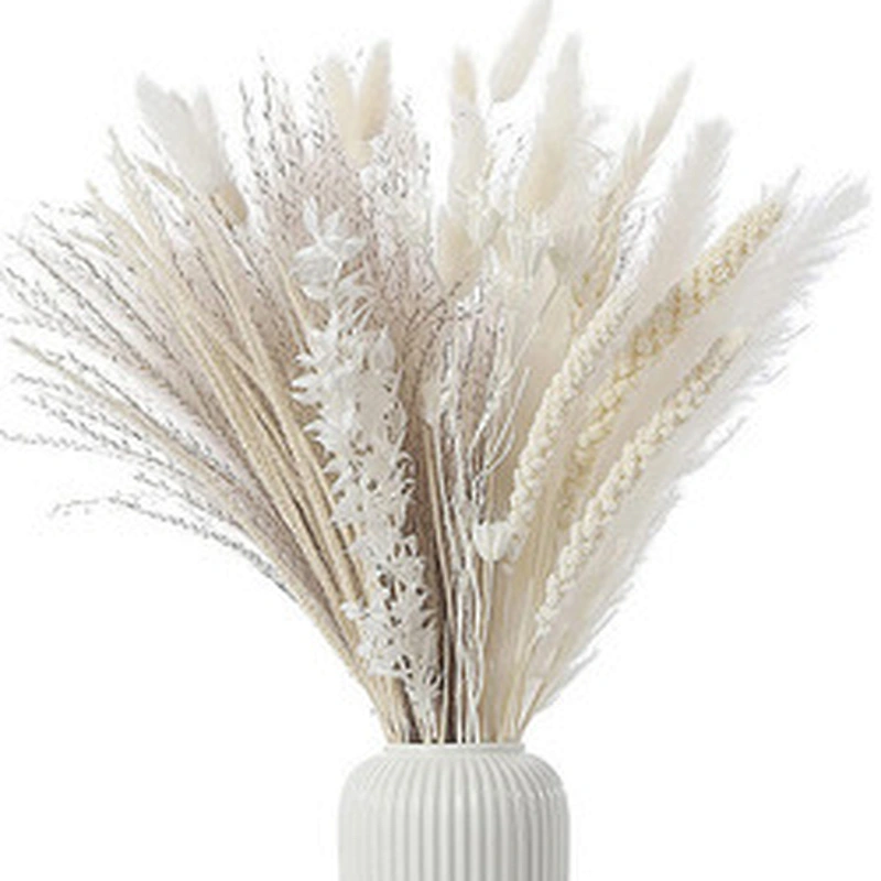 30pcs Dried Flowers Nature Bouquet Pampas Grass Flowers Wedding Decoration Artificielles Home Decor Artificial Flowers