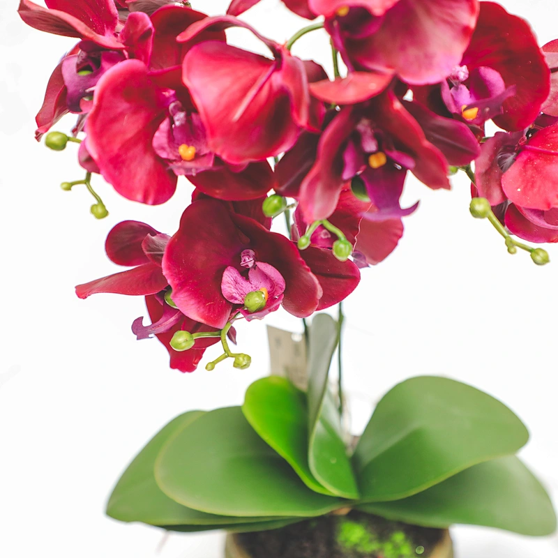 Factory Supply Artificial Flowers Faux Water Cymbidium Butterfly Orchid For Home Decoration