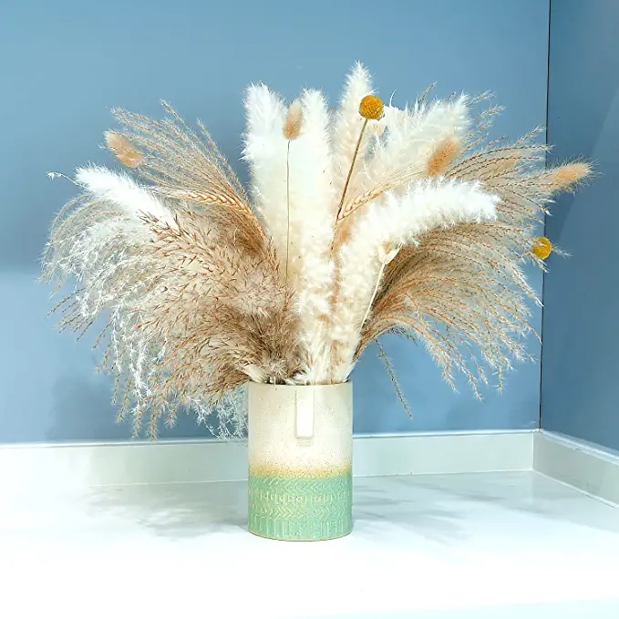 Hot selling Dried Pampas Grass Decor Branches White Pampas Grass Bouquet Wedding Party House Decor