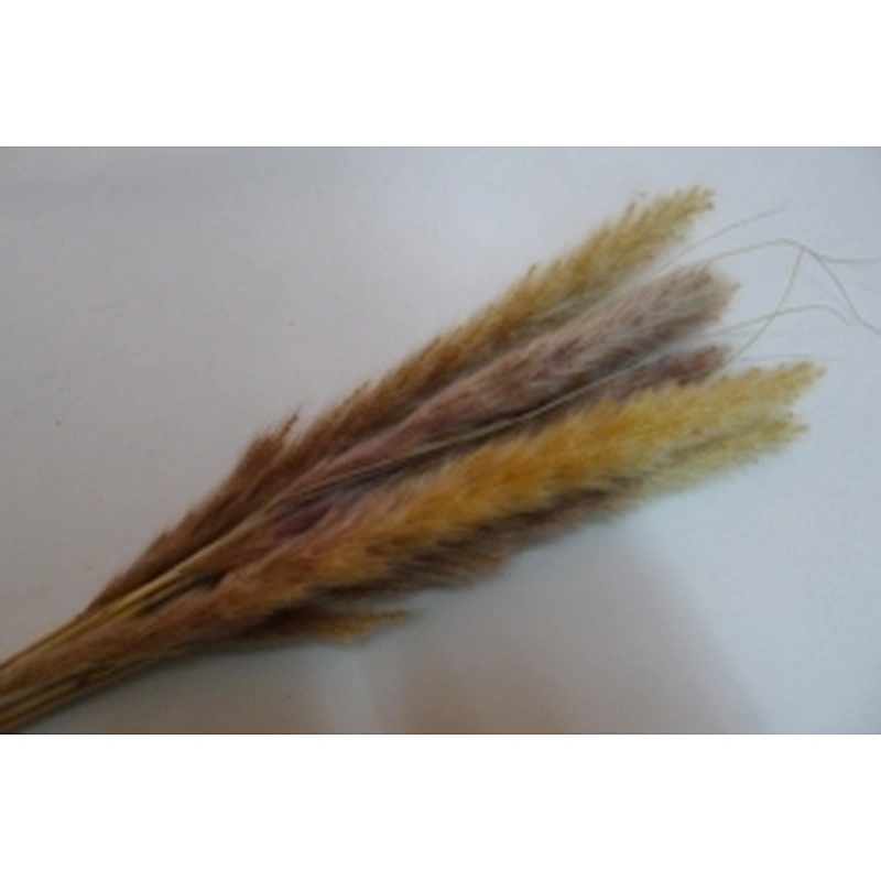 wholesale colourful real touch artificial flower large faux pampas grass wedding flower decoration