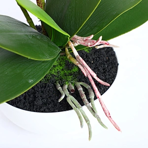 High quality real touch artificial orchid pot flowers wedding party home decoration artificial orchids flowers