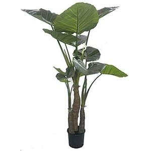 China Manufacturer Decorative TARO Green Tree Leaf For Home Decorate