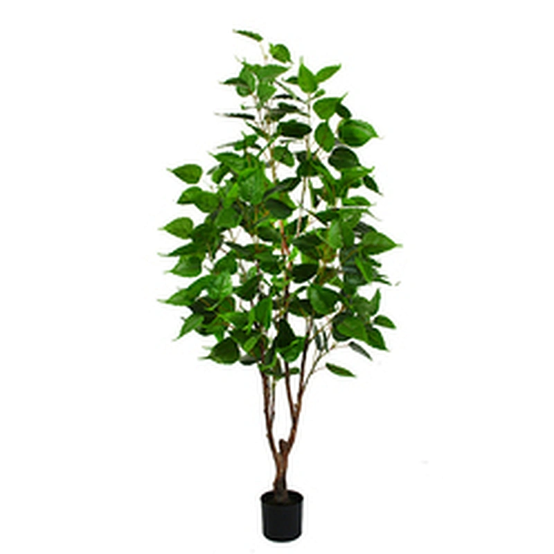 Factory Direct Sale Simulation Landscaping Russian Type Decorative White Birch Trees