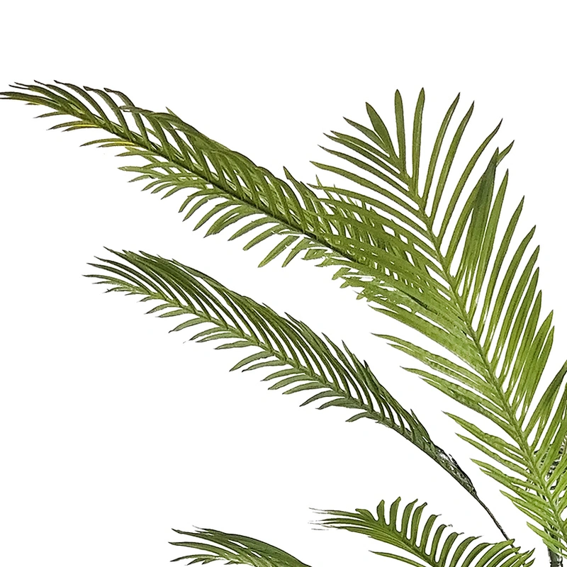 Hotel Wedding Fiber Plants Top Quality Areca Palm Trees And Plants Balcony Outdoor Areca Palm