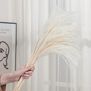 Phragmite Dried Flowers Natural Dried Pampa Grass Bouquet DIY Artificial Flower Plant Bouquet background Home Living Room