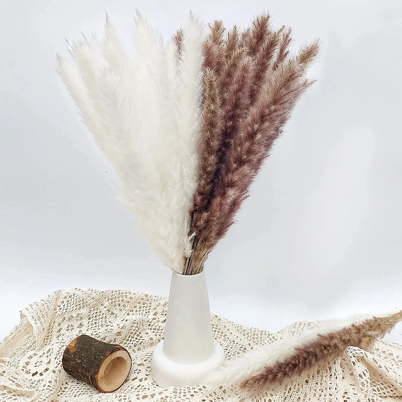 Dried Reeds Natural Dried Plants Bunch Small Pampas Grass DIY Craft Wedding Bouquet Photography Props Home Decoration Supplies