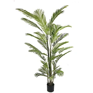 Hotel Wedding Fiber Plants Top Quality Areca Palm Trees And Plants Balcony Outdoor Areca Palm