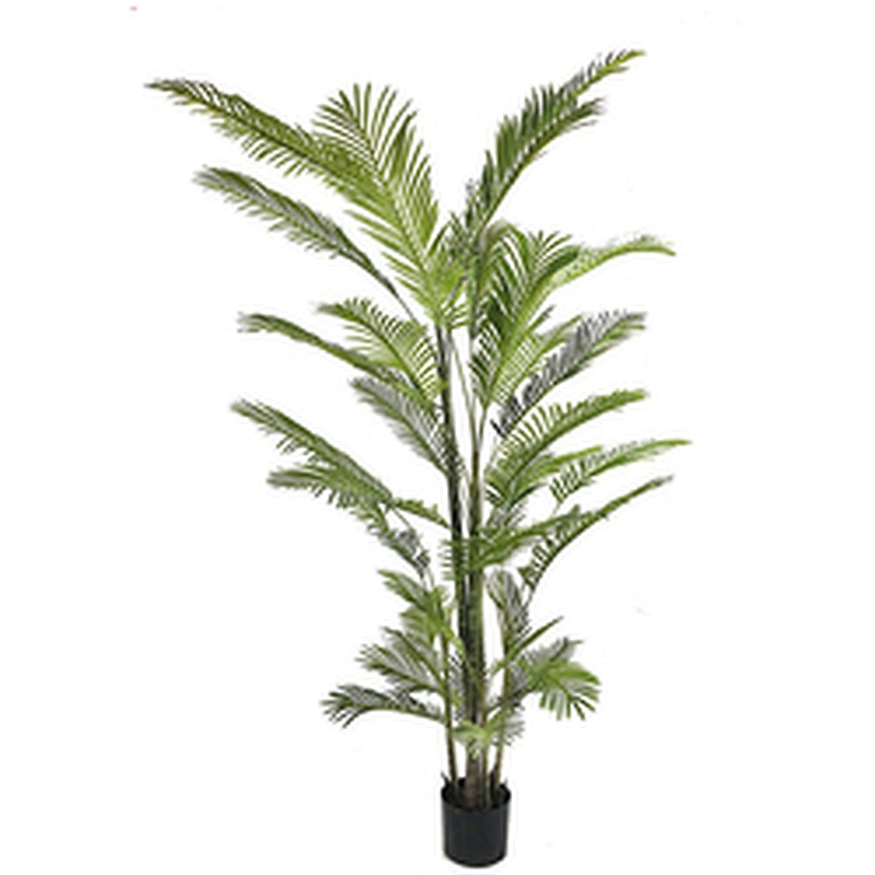 Hotel Wedding Fiber Plants Top Quality Areca Palm Trees And Plants Balcony Outdoor Areca Palm