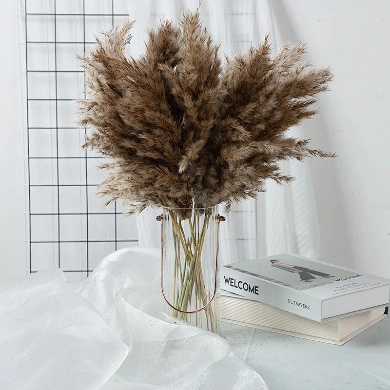 10pcs Real Bulrush Natural Dried Flowers Plants Small Dry Flower for Decoration Pampas Grass In Bouquet Wedding Home Decor