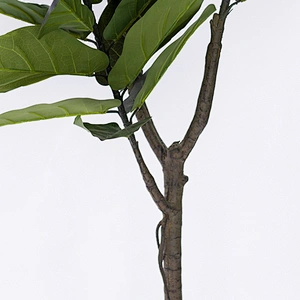Wholesale New Design Plastic Succulent Artificial Lyrata Fiddle Plants Trees Houseplants Greenery Fiddle Plant