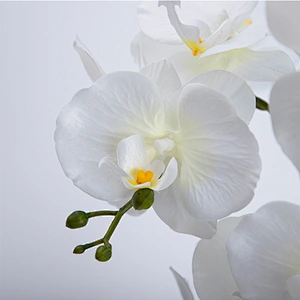 China Wholesale Real Touch Wedding Artificial Orchid Pot Assortment Cymbidium For Indoor Decoration