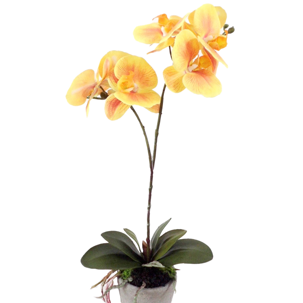 Office Wedding Decoration Artificial Orchid Flower Real Touch Latex Artificial Orchid Flower For Home