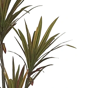 Artificial Brazil Dracaena Bonsai Tree Garden Dracaena Tree For Home Building Decor
