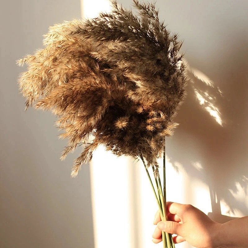 Natural Dried Pampas Grass Big Reed Artificial flowers Plant Hay Wedding Bohemian Home Decoration Artificial flowers Room