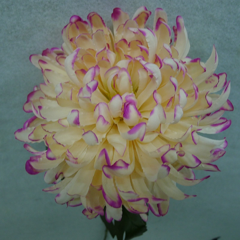 High Quality Affordable Wholesale Pink light pink dahlia Flowers 185cm Autumn Home Decor Artificial Autumn Wheat