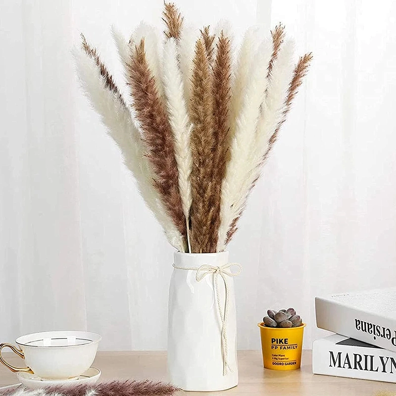 Dried Reeds Natural Dried Plants Bunch Small Pampas Grass DIY Craft Wedding Bouquet Photography Props Home Decoration Supplies