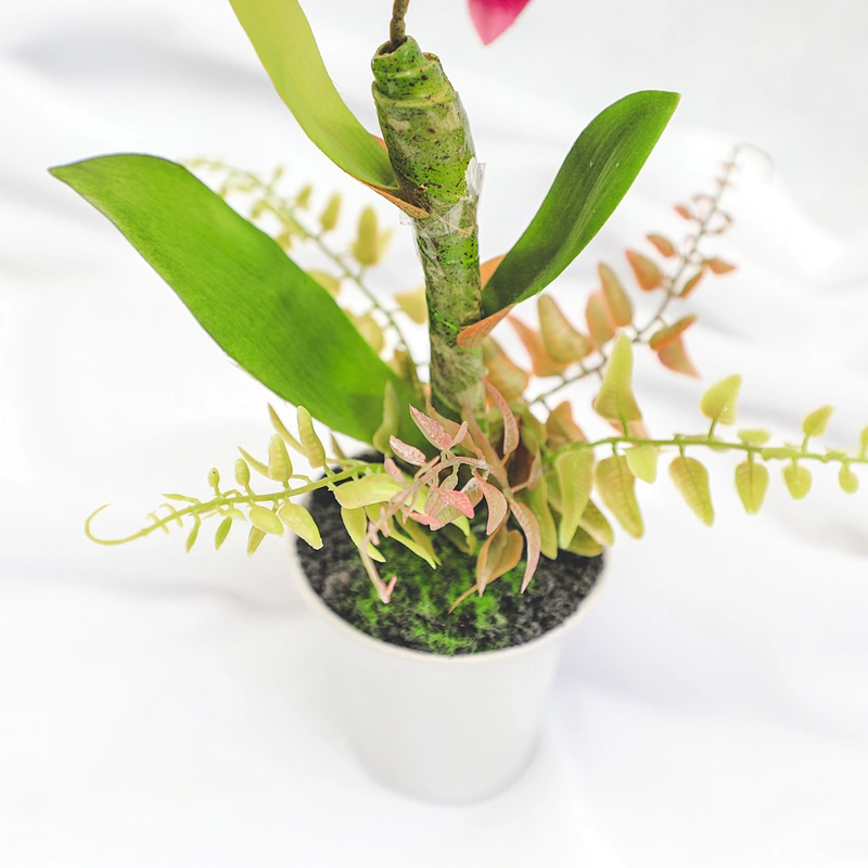 Wholesale fashion artificial Home Wedding Decor Artificial Flowers Faux Water Cymbidium Orchid Butterfly Orchid