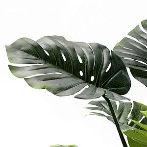 New Design Real Touch Artificial monstera variegated plant Tree Interior decoration  Monstera Deliciosa Plant