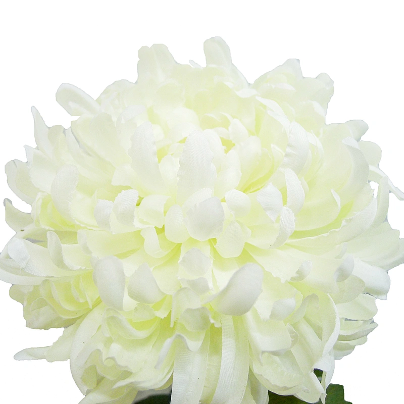 Wholesale Fashion Artificial Autumn dahlia Flowers 109cm Home Door Decorations Artificial Magnolia Flowers