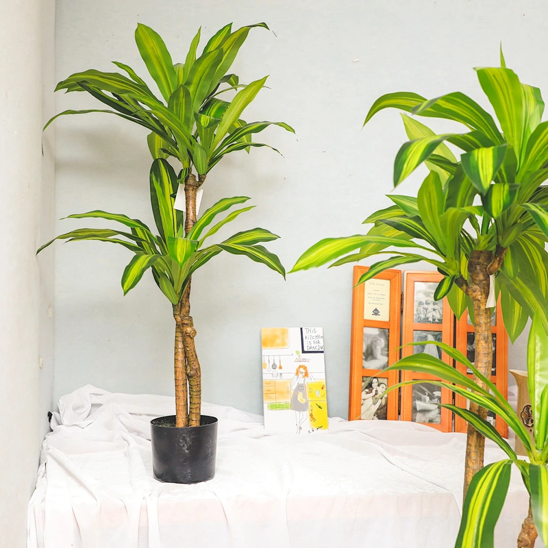 Wholesale Garden Suppliers Dracena Leaf Plant Tree Artificial Marginata Tropical Dracena Artificial flowers