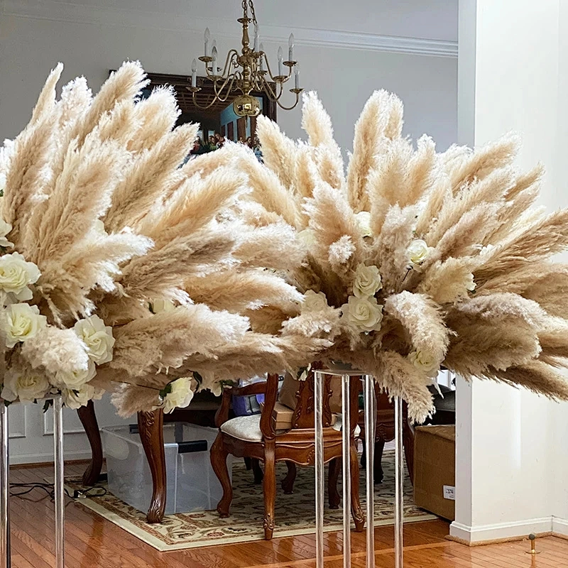 Natural Pampas Grass Large Size Dried Flower Bouquet Home Decor Tall Fluffy Stems Living Room Decor Wedding Backdrop