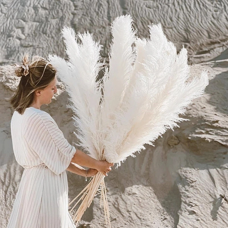 1Pc Artificial Pampas Grass Flowers Dried Small Reed Simulation Plants Wedding Party Home Decoration Rabbit Tail Grass