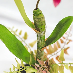 Wholesale fashion artificial Home Wedding Decor Artificial Flowers Faux Water Cymbidium Orchid Butterfly Orchid