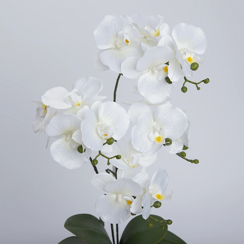 China Wholesale Real Touch Wedding Artificial Orchid Pot Assortment Cymbidium For Indoor Decoration